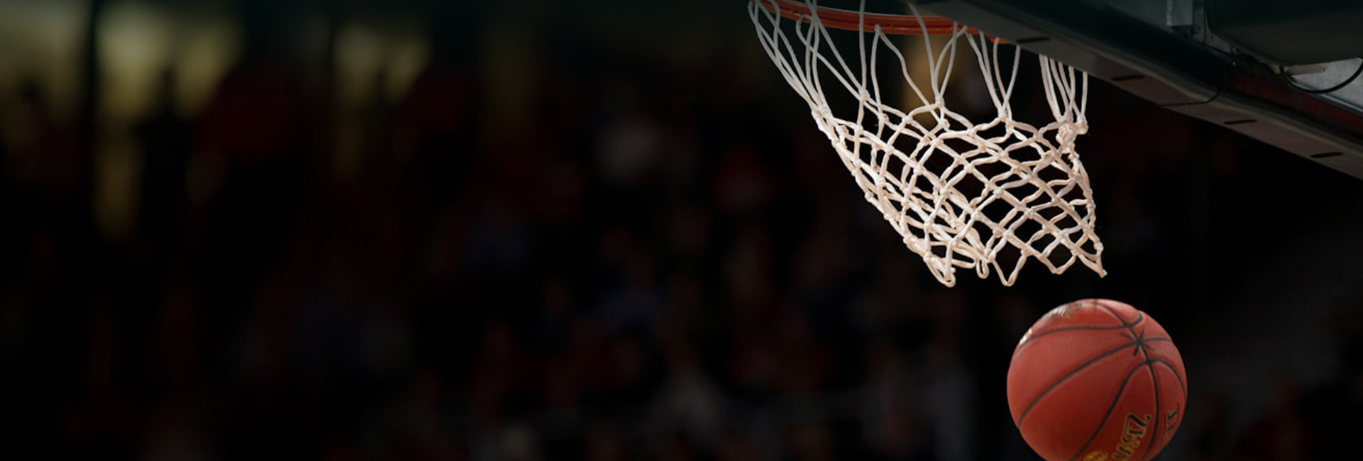 Связаться с нами