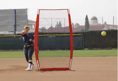 Сетка для тренировок по бейсболу, группа V