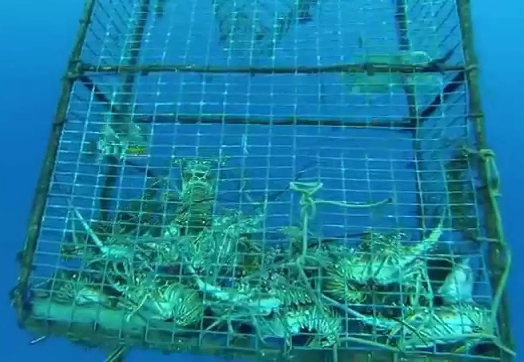 Сети для глубоководной аквакультуры