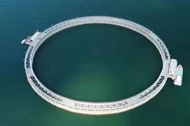 Проект отеля Bao NengOrange Fishing Sand Hotel, посвященный борьбе с акулами